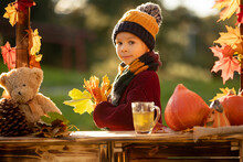 Cute Blond Toddler Child, Standing Next To Autumn Wooden Stand With Decoration, Apples, Leaves, Mug, Hedgehock In The Park