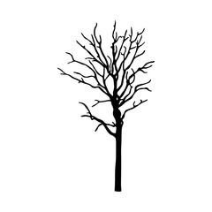 silhouette of a tree isolated. isolated dead tree on the white background. dead tree silhouettes.