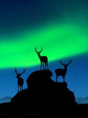 Poster - Deer family on rocks. Wild animal silhouettes. Green aurora borealis