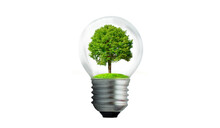 The Bulb Is Located On The Inside With Leaves Forest And The Trees Are In The Light. Concepts Of Environmental Conservation And Global Warming Plant Growing Inside Lamp Bulb Over Dry