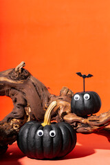 Two black pumpkins with eyes and web spiders on an orange background. Pumpkin monsters, funny Halloween vertical card with copy space for text