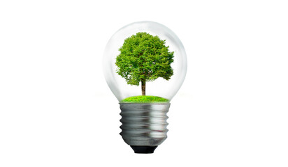 Wall Mural - the bulb is located on the inside with leaves forest and the trees are in the light. concepts of env