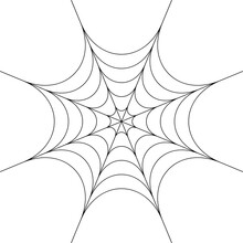 Spider Web Isolate , Halloween Concept