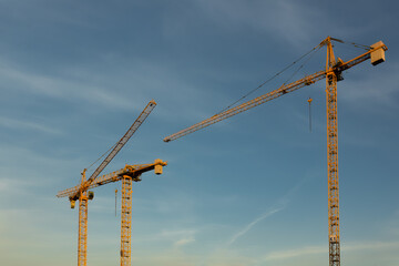 yellow cranes on the background of the blue sky