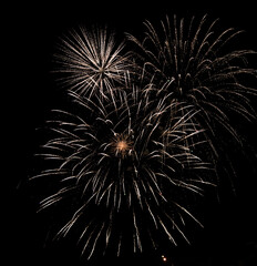 Wall Mural - fireworks in the night sky