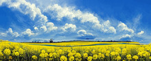 Yellow Rapeseed Field Against Blue Sky Nature, Background, Banner, Landscape