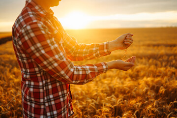 Farmers hands pour grain into field from hand to hand. Agriculture, gardening or ecology concept.