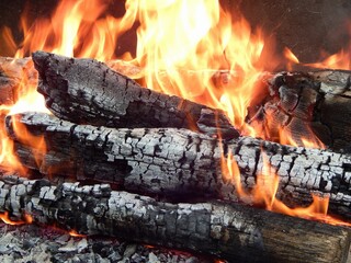 Burning bonfire. Flame. Photo of burning firewood in the forest at a picnic.