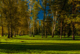 Fototapeta Na ścianę - Stromovka park in centre of Ceske Budejovice city with green grass and trees