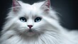 Hyper realistic illustration of a cute white cat face with blue eyes - great for a background