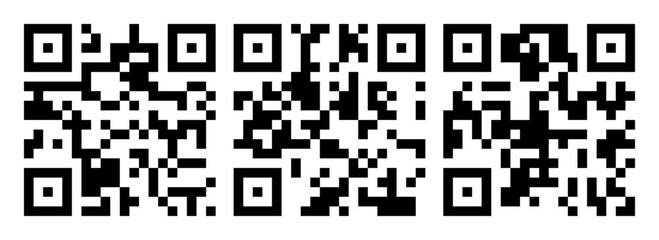 Vector QR code