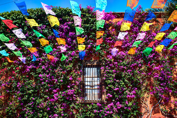 ornaments on the streets with purpple flowers in the wall of house, traditional celebration in san m