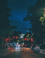 Wall Mural - street tree in the night park life in New York City Manhattan cars people sky blue 