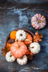 Sticker - Thanksgiving and Halloween concept. Pumpkins and autumn leaves.