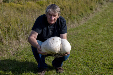 Canvas Print - The man with the giant puffer (Calvatia gigantea)  Puffball mushroom commonly found in meadows, fields, usually in late summer and autumn. An edible mushroom that many consider a delicacy.