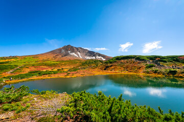 Sticker - 秋の北海道・大雪山の旭岳で見た、池の周りを彩る紅葉や緑の植物と快晴の青空