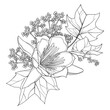 Bouquet with outline Liriodendron or tulip tree flower and leaves in black isolated on white background.
