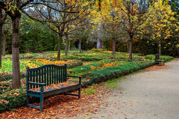 Wall Mural - Small urban park in autumn.