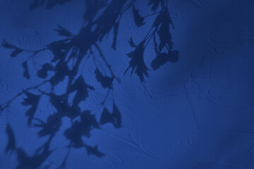 shadow of leaves on blue concrete wall texture with roughness and irregularities. abstract trendy co