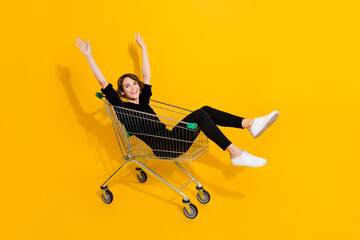 Sticker - Photo of impressed funny lady wear black shirt rising arms riding shooping tray isolated yellow color background