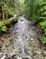 Sticker - River Lyd - Lydford Gorge, Dartmoor National Park, Devon, United Kingdom