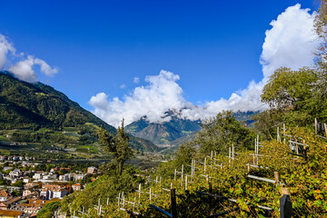 Meran, Weinberge, Spazierweg, Tappeinerweg, Aussicht, Panoramaweg, Dorf Tirol, Altstadt, Vinschgau, Etschtal, Südtirol, Herbst, Herbstsonne, Italien