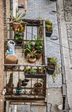 Fototapeta Psy - Looking down at plant filled balcony and sidewalk below - old Eastern European City