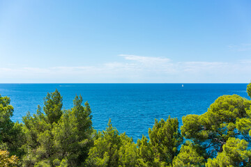 Wall Mural - Mediterranean Oceanside in Rovinj, Croatia