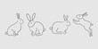 Bunny set in simple one line style. Rabbit icon. Symbol of 2023 new year. Black minimal concept vector illustration. Grey background