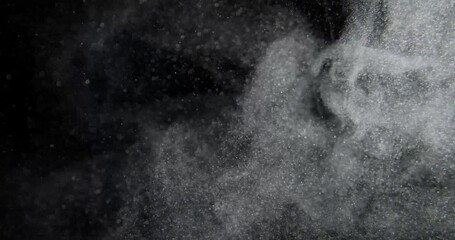 Wall Mural - Organic Particles of Dust, Flour, Debris, Flying on Black Background. RED camera footage in slow motion.