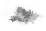 Fototapeta Tęcza - Black powder explosion  no background. Colored cloud. Colorful dust explode. Paint Holi.