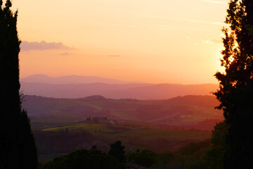 Wall Mural - Scenic view of typical Tuscany summer landscape