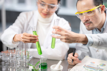 medicine biology laboratory of organic plant experiment test in glasses tube of cosmetic chemistry research medicals, chemical biotechnology science of nature leaf and green herbal oil technology