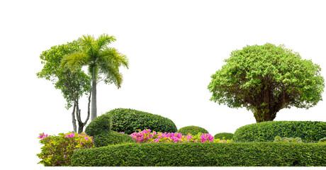 Poster - Colorful shrubs, ornamental plants, gardens or parks. isolated on transparent background cut path