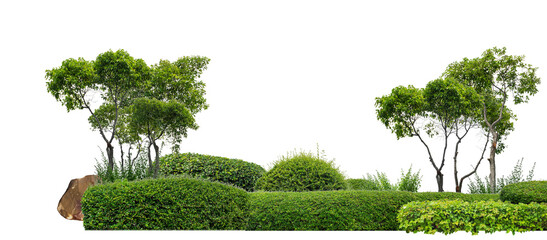Leinwandbilder - Colorful shrubs, ornamental plants, gardens or parks. isolated on transparent background cut path