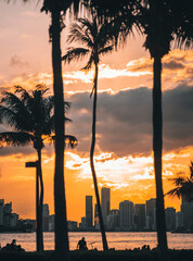 Wall Mural - sunset in the city beach palms south pointe park Miami 