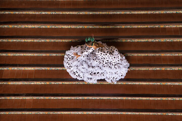 Wall Mural - Young teenage woman in white dance suit with black polka dots and green carnations in her hair doing flamenco poses on a ladder, top view. Flamenco concept, dance, art, typical Spanish dance.