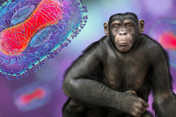 Wall Mural - Chimpanzee monkey surrounded by monkeypox viruses, conceptual 3D illustration