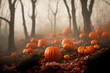 © hitdelight - Thanksgiving and halloween pumpkins in autumn forest. Fall season landscape with bare trees, maple leaves and pumpkin crop. Festive holiday greeting card wallpaper. Dark magic wood october scene.