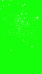 Wall Mural - 上から雪と雪の結晶が舞う[背景グリーンバック]縦 Winter Snowflake Series:Snow and snowflakes falling from above[on green screen]