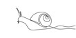 Vector illustration of a crawling garden snail in one line. The concept of a healthy diet with a high content of nutrients from the snail.