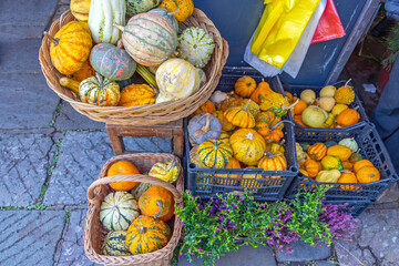 Poster - Pumpkins Gourds Farmers Market