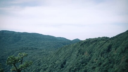 Wall Mural - Viewpoint of a rainforest in Costa Rica 2