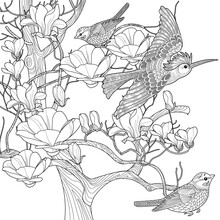 Art Therapy Coloring Page. Coloring Book Antistress For Children And Adults. Birds And Flowers Hand Drawn In Vintage Style . Ideal For Those Who Want To Feel More Connected To Nature.
