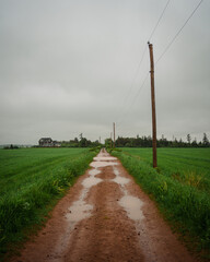 Canvas Print - Dirt road at Cape Tryon, Prince Edward Island, Canada