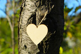Fototapeta  - Drewniane serce wiszące na pniu drzewa
