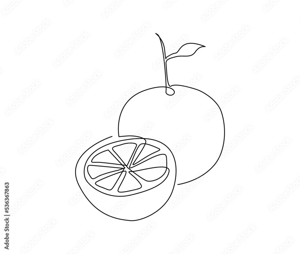 Continuous one line drawing of Orange Fruit. Orange fruit hand drawn ...