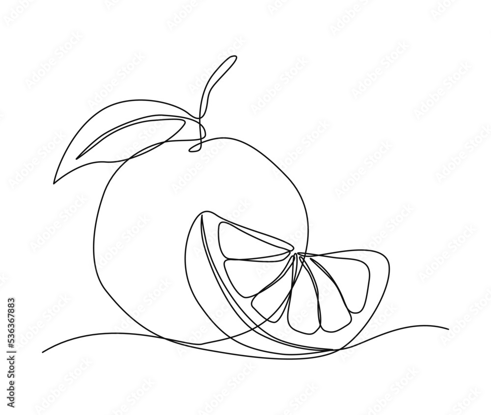Continuous one line drawing of Orange Fruit with leaf. slice of orange ...