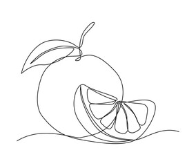 Wall Mural - Continuous one line drawing of Orange Fruit with leaf. slice of orange fruit hand drawn single line art vector illustration.