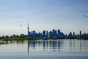 Wall Mural - Сityscape - skyscrapers, houses, business centers - on the shore of the lake. city ​​reflection, blue water and park, Toronto, Ontario, 